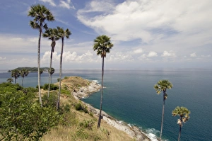 Phromthep Cape Print, Phuket Landscape