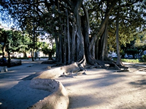Mediterranean Europe Travel Destinations Prints: Piazza Marina