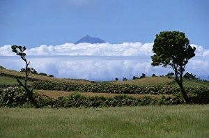 Europe Cloud Formations Prints: Pico projects above clouds, Sao Jorge, Azores, Portugal, Europe