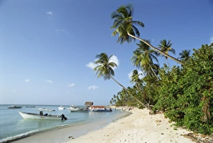 Palm Trees & Boats, Pigeon Point, Tobago, West Indies