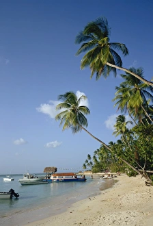 Palm Trees & Boats, Pigeon Point, Tobago, West Indies