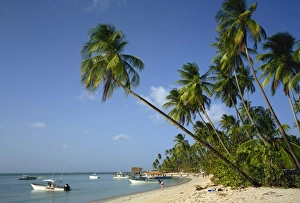Palm Trees & Boats, Pigeon Point, Tobago, West Indies