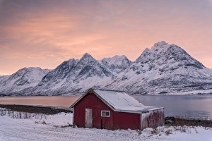 Pink clouds at dawn on the wooden hut surrounded by frozen sea and snowy peaks, Svensby Pink clouds at dawn on the wooden hut surrounded by frozen sea and snowy peaks, Svensby