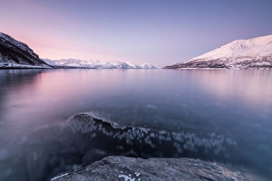 Pink sky and snowy peaks reflected in the frozen sea at sunset, Manndalen, Kafjord Pink sky and snowy peaks reflected in the frozen sea at sunset, Manndalen, Kafjord