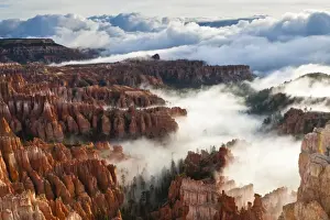 Nature Scenic Views USA Prints: Pinnacles and hoodoos with fog extending into clouds of a partial temperature inversion