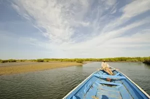 Saloum Delta Collection: Pirogue or fishing boat on the backwaters of the Sine Saloum Delta, Senegal