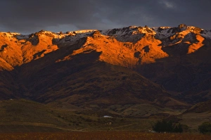 Prints of Pisa Range, Mount Pisa, Central Otago, South Island, New Zealand, Pacific Images Dated 2008 March: Mount Pisa Print, Central Otago Landscape