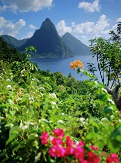 Images Dated 5th September 2008: The Pitons Print, St. Lucia Landscape