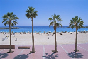 European Vacation Spot Prints: Playa de Balito