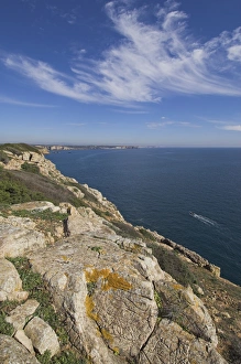 Portugal Travel Destination Prints: Ponta da Torre