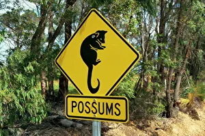 Possums road sign near Dunsborough, Western Australia, Australia, Pacific Possums road sign near Dunsborough, Western Australia, Australia, Pacific
