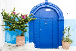 Pots and plants against blue and white wall in Kasbah des Oudaya (Kasbah of the Udayas) Pots and plants against blue and white wall in Kasbah des Oudaya (Kasbah of the Udayas)