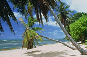 Indian Ocean Beaches Africa Prints: Praslin beach