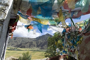 Related Prints: Prayer Flag Print over Tibetan Fields