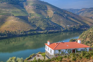Douro River Landscape Prints: Quinta da Marka overlooking the Douro River