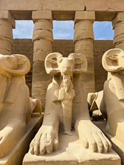 Karnak Temple Complex Prints: Ram-headed sphinx statues at Karnak