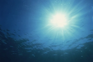 Contemporary Travel Images Prints: Rays of sunlight through the surface from underwater