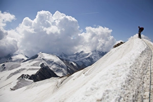 Europe Snow Capped Mountains Prints: Reaching the summit of Mount Cevedale, 3769 m, Ortler Alps, South Tyrol, Italy, Europe