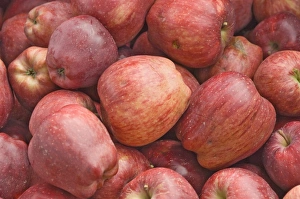 Fresh Produce Pictures Prints: Red apples