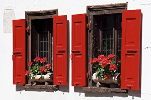 Central European Photography Prints: Red shuttered windows and geraniums