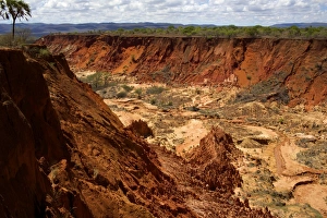 In the red tsingy area, close to Diego Suarez bay, Northern Madagascar, Africa In the red tsingy area, close to Diego Suarez bay, Northern Madagascar, Africa