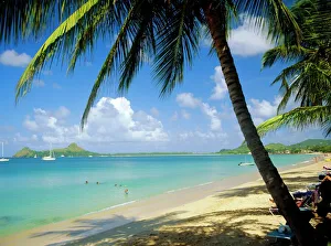 St Lucia Beach Prints: Reduit Beach, St
