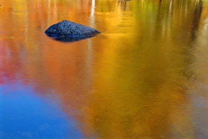 Contemporary Landscape Photography Prints: Reflections in autumn