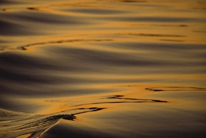 Northern Lights Reflection Prints: Reflections of sunset light in winter at Glowing, Tysfjord, Arctic Waters, Polar Regions