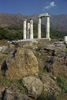 Greek Architecture Europe Prints: Remaining Doric columns