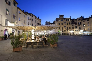 Evening Print: Piazza Anfiteatro Romano, Lucca, Italy