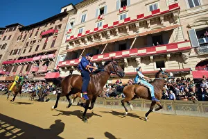 Riders racing at El Palio horse race festival, Piazza del Campo, Siena Riders racing at El Palio horse race festival, Piazza del Campo, Siena