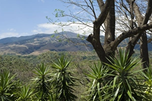 Rincon Volcano from the Hacienda Guachipelin, near Rincon de la Vieja National Park Rincon Volcano from the Hacienda Guachipelin, near Rincon de la Vieja National Park