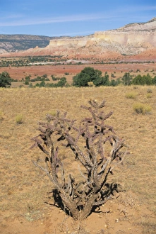 American Southwest Travel Destinations Prints: Rio Arriba County