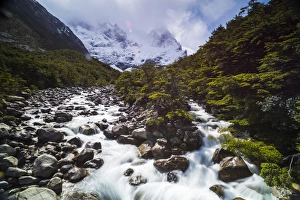 Rio Frances, French Valley (Valle del Frances), Torres del Paine National Park, Patagonia Rio Frances, French Valley (Valle del Frances), Torres del Paine National Park, Patagonia