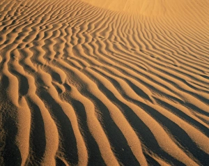 African Wilderness Photography Prints: Ripples in the sand