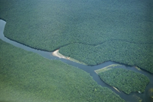 Venezuela Landscape Photography Prints: River close to Kavak