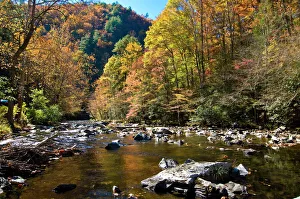 River and colourful foliage in the Indian summer, Great Smoky Mountains National Park River and colourful foliage in the Indian summer, Great Smoky Mountains National Park