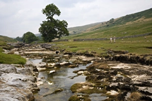 North Yorkshire Countryside Prints: River Wharfe, Upper Wharfedale (Langstrothdale)