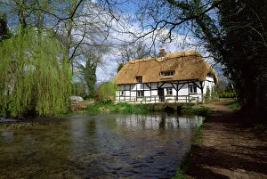 Riverside thatched cottage, New Alresford, Hampshire, England, United Kingdom, Europe Riverside thatched cottage, New Alresford, Hampshire, England, United Kingdom, Europe
