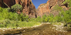 Riverside Walk, Temple of Sinawava, Zion National Park, Colorado Plateau, Utah Riverside Walk, Temple of Sinawava, Zion National Park, Colorado Plateau, Utah