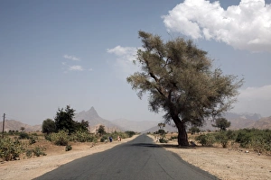 An empty road and the barren landscape of western Eritrea, Africa An empty road and the barren landscape of western Eritrea, Africa
