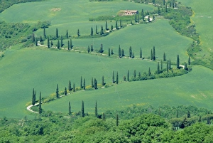 European Countryside Roads Prints: Road winding up hillside