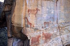 Tsodilo Collection: Rock art, Tsodilo Hills, UNESCO World Heritage Site, Ngamiland, Botswana, Africa