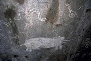 Tsodilo Collection: Rock art, white paintings, elephant and rain snake, Tsodilo Hills, UNESCO World Heritage Site