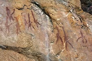 Tsodilo Collection: Rock paintings, erect pensises men, Tsodilo Hills, UNESCO World Heritage Site