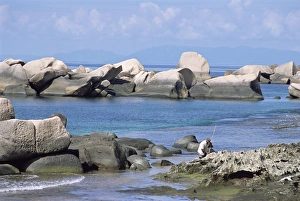 Outdoor Nature Scenery Prints: Rocks on coast