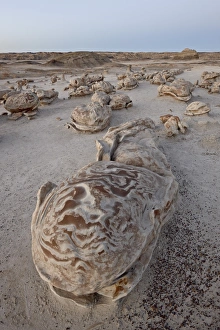 Rocks at the Egg Factory at dusk, Bisti Wilderness, New Mexico, United States of America, North America Rocks at the Egg Factory at dusk, Bisti Wilderness, New Mexico, United States of America, North America