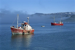Polar Regions Travel Guide Prints: Rodebay (Oqaatsut)