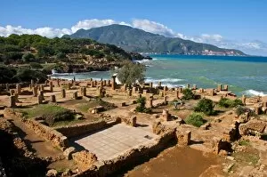 Tipasa Collection: Roman ruins of Tipasa, UNESCO World Heritage Site, on the Algerian coast