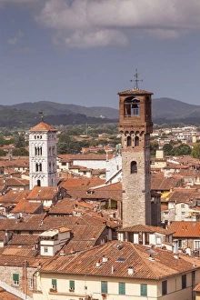 Tuscany Travel Destination Prints: The rooftops of the historic centre of Lucca, Tuscany, Italy, Europe